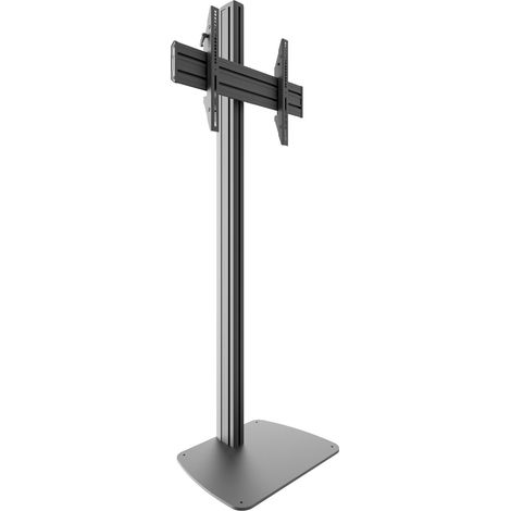 Soporte para pantalla de 40 a 75 pulgadas STDV100 (1/3)