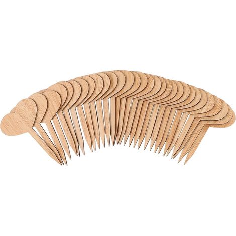 30 étiquettes en bois pour plantes aromatiques d'extérieur (1/5)