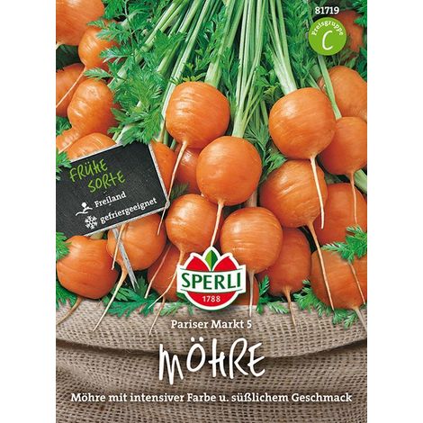 Sperli Möhren Pariser Markt 5 - Gemüsesamen (1/4)
