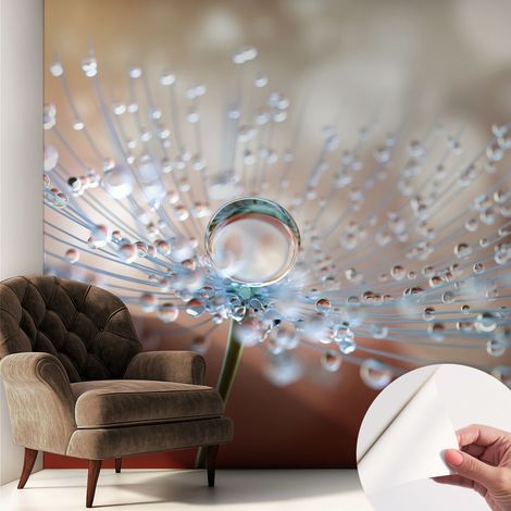 Selbstklebende Tapete - Wanddekoration Wohnzimmer - Tapete Schlafzimmer Ein Tropfen auf einer Pusteblume 250x250 cm (1/5)