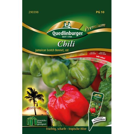 Quedlinburger Saatgut – Piment Jamaican Scotch Bonnet – Graines de légumes, hauteur 60-80 cm (1/2)