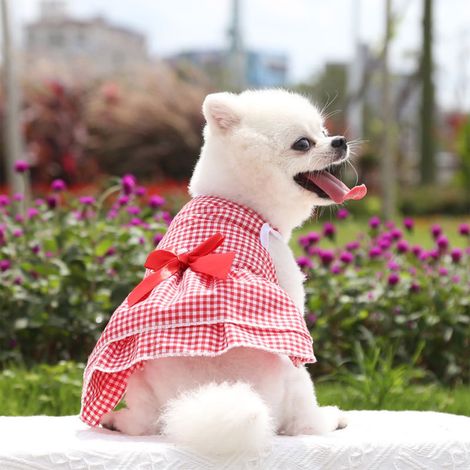 Jupe Pour Animal De Compagnie - Polyester - Rouge - Pour Chien Chat Taille XS (30x20 cm) - Vêtement Saisonnier (1/5)