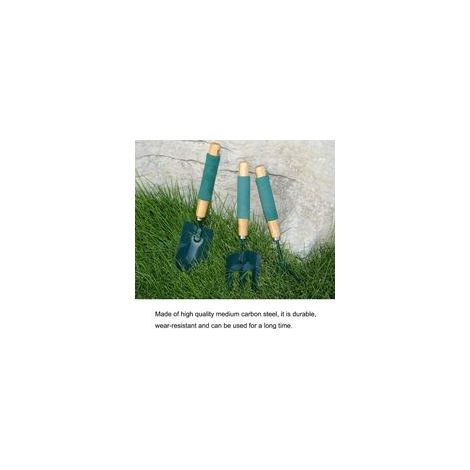 Ensemble de 3 petits outils de jardin robustes : 1 tousse de jardinage, 1 râteau à griffes, 1 fourche à planter avec manche en bois. Ensemble d’outils ergonomiques en métal pour bonsaï, idéal pour le (1/5)