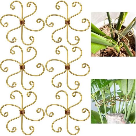 Plant support - Plant stem support - Iron support for Monstera - Adjustable support - Garden accessories - 11 x 11 cm (1/5)