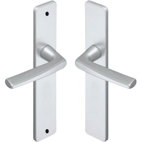 Set de Poignée de Porte sur Grande Plaque RIVIERA - Version Bec de Cane Porte Cuisine et Salon - Entraxe 195 mm - en Aluminium Résistant - Finition Champagne (1/5)