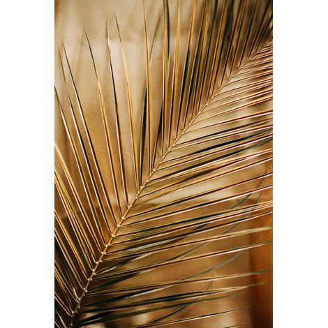 Tableau golden palm Toile imprimée (1/5)