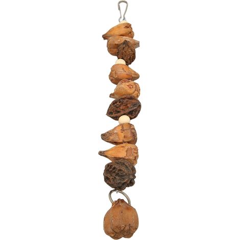 Jouets à mâcher pour oiseaux, bûches résistantes aux morsures, noix naturelles, jouets à mâcher suspendus pour perroquets, perruches, aras, perruches ondulées (1/5)
