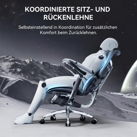SIHOO Doro S300 Ergonomischer Bürostuhl, Computerstuhl, Gaming-Stuhl mit dualem dynamischem Lendenwirbelstützsystem, 6D-koordinierten Armlehnen, verstellbarem Rollstuhl (Schwarzem) (1/5)