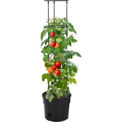Maison Exclusive - Vaso a Torre per Pomodori Antracite Ø29,5x115 cm Polipropilene (1/5)