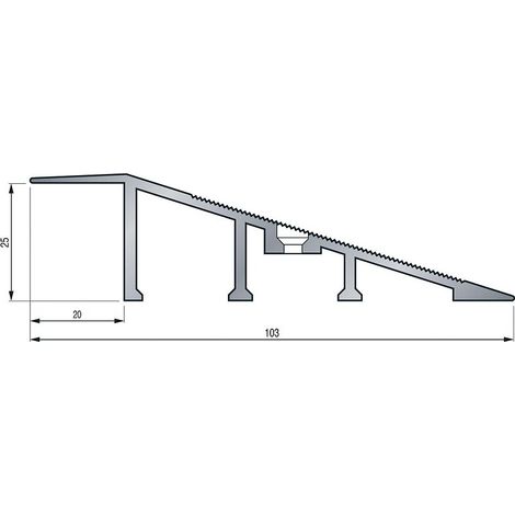 Dinac – Rampe d'accès à visser aluminium brut 25mm épaisseur 103mm largeur 3m longueur – Fixation par vis pour chantiers humides