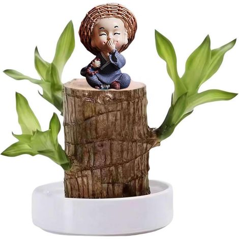 Lucky tree, Brazilian lucky plant with monk statue, easy-growing Brazilian wooden hydroponic plant set, mini Brazilian wooden flower pots (C)