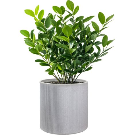 Vase Cylindrique Rond En Résine Pour Plantes D'Intérieur Et D'Extérieur, Modigliani Beige, 36X35 Cm (1/5)