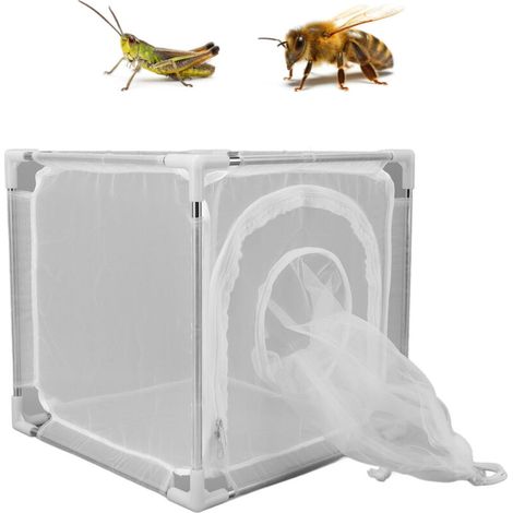 Cage d'Observation pour Insectes et Plantes Nylon 100 Mesh avec Supports en Acier Inoxydable 12 Tiges et 8 Connecteurs - Démontable et Transportable pour Élevage et Reproduction Blanche