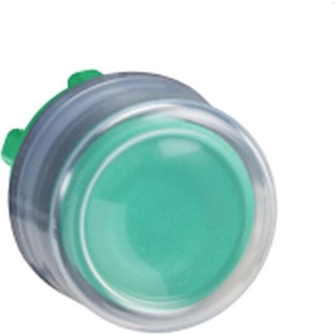 Testa in GOMMA VERDE PULS, materiale resistente e design ergonomico.