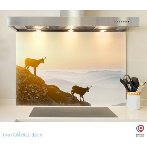 Fond de hotte : Chamois - Verre trempé - 70 cm - 60 cm (1/5)