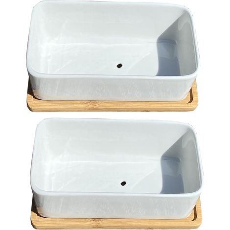 White Succulent and Cactus Trough Plant Pots (Set of 2) (1/5)
