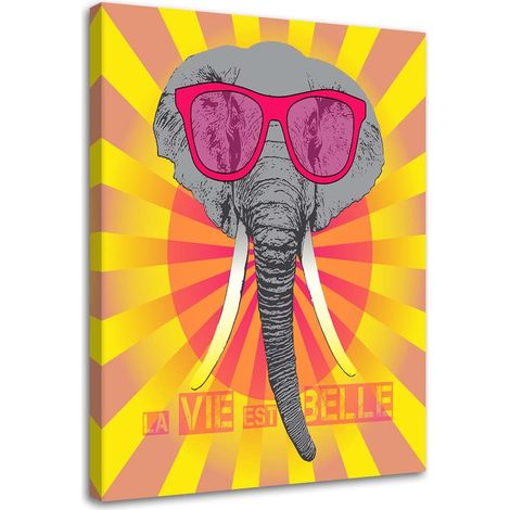 Stampa su tela, Elefante con occhiali - 60x90 (1/4)