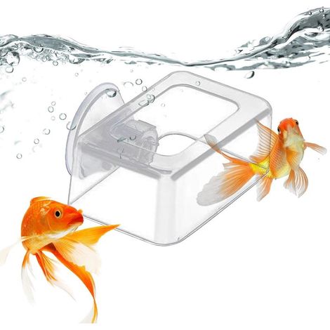 Dispensateur Alimentaire Fixe Anti-dérive - Aquarium Fish Food Feeder - Fish Fheders Pour Nourrir Des Aliments Flottants Ou Des Aliments Squameux, Mais Pas Adapté Pour Nourrir Les Aliments En Percussi (1/5)