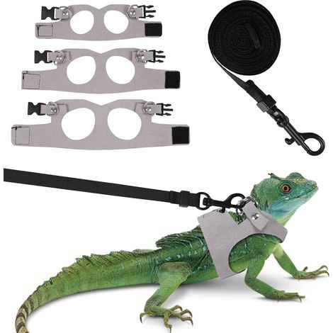 Geschirre, Leinen, Leder, verstellbar, Bartagamen, kleine Reptilien, Outdoor (1/5)