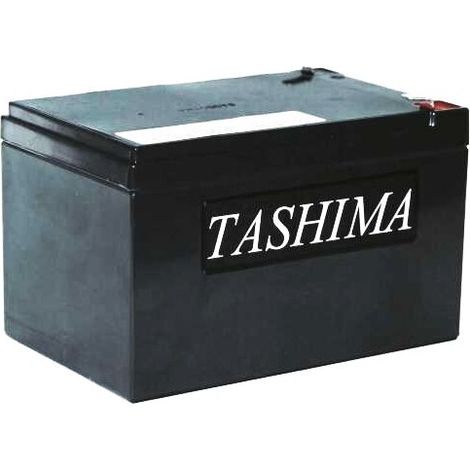 Batteria per attrezzi da giardino Tashima 12V, 14A adattabile per Ecomower. L: 151, L: 98, H: 94 mm, + a sinistra 100% impermeabile. - Batteria a Mett