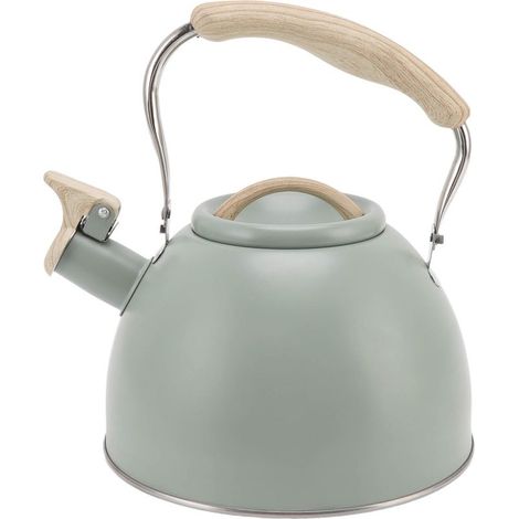 Siffleur Bouilloire 3L Vert Clair Fond Plat Acier Inoxydable Poignée Plastique Technique pour Thé Maison (1/5)
