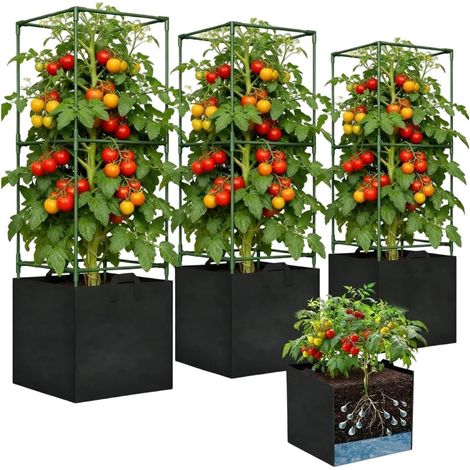 Tomatenkäfig Hochbelastbarer Edelstahl 3 teilig