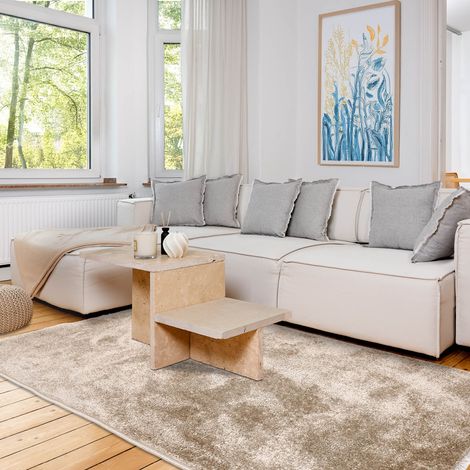 ASTRA Tapis « Stevie » beige 160 x 230 cm poils courts moelleux (1/5)