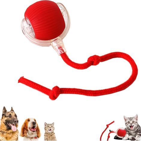 Pelota interactiva para gatos Ulisem - Juguete eléctrico para gatos - Recargable por USB - 3 modos (1/5)