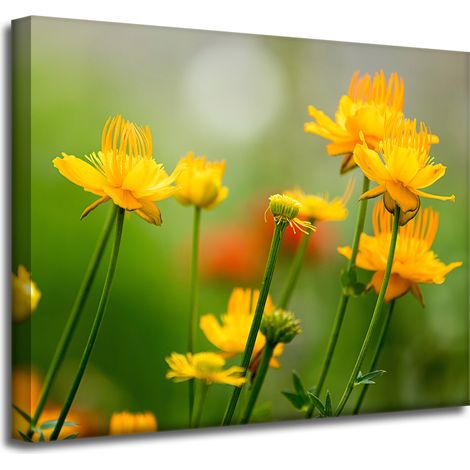 Leinwanddruck Botanik Gelbe Blumen 50x40 cm
