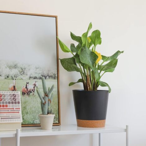 3 Pcs Pots de Fleurs en Plastique 20cm Noir Auto-Arrosant avec Soucoupe avec Système d'arrosage Pot de Fleur Paresseux Convient aux Jardins de Balcon Intérieurs et Extérieurs (1/4)