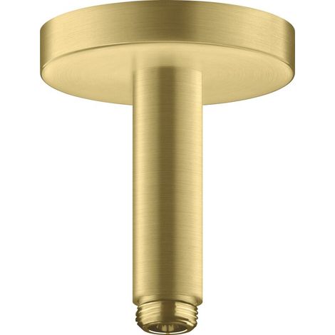 hansgrohe AXOR ShowerSolutions Raccordement au plafond 100 mm,