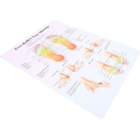 Carte de Réflexologie Plantaire sur Toile Résistante aux Taches, Facile à Nettoyer, pour Bureau ou Domicile en Institutions de Santé (1/5)