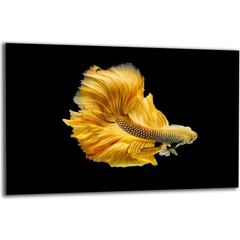 PLAQUE DE PROTECTION EN VERRE POUR CUISINIÈRE 80x52 POISSON (1/5)