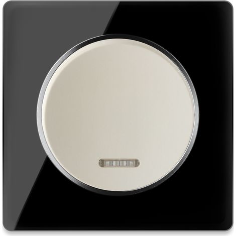 Kontrollschalter 1fach beige mit Glas-Abdeckrahmen schwarz (1/4)