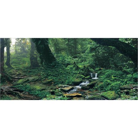 Autocollant adhésif en PVC pour fond d'aquarium, bois verts, rivière, décoration d'aquarium (S)