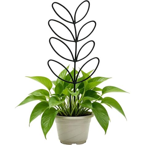 Zimmerpflanzen Efeu Halter für den Garten 2 teilig kleines