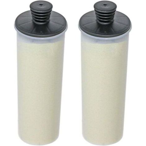 Cartouches Filtrantes Détartrantes Compatible avec Karcher SC3 SC3MX EasyFix Nettoyeurs à Vapeur (Lot de 2)