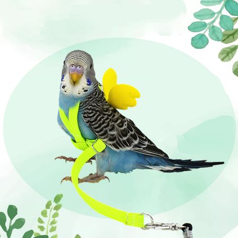 [Arnés y correa para pájaros pequeños] Látex elástico [Modelo: Volador con alas] Ajustable [50 g] [Color: Multicolor] Para loros y palomas (1/5)