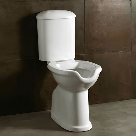 Wc a Terra Monoblocco Tradizionale Con Scarico a Parete Alice Ceramica "Confort" Bianco Lucido (1/2)