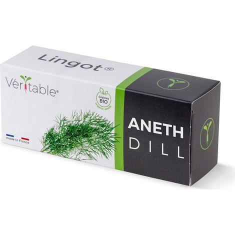 Veritable Pot d'aneth bio naturel prêt à l'emploi (1/5)