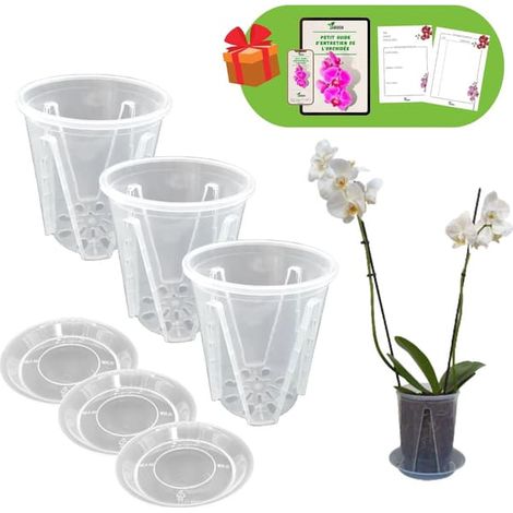 Ecleanfy - Ensemble de 3 pots à orchidées en plastique rigide transparent, diamètre 16 cm (1/5)