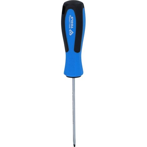 BRILLIANT TOOLS Destornillador plano 3,0 x 80 mm - BT031001 (1/4)