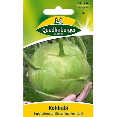 Quedlinburger Kohlrabi Superschmelz - Gemüsesamen (1/2)