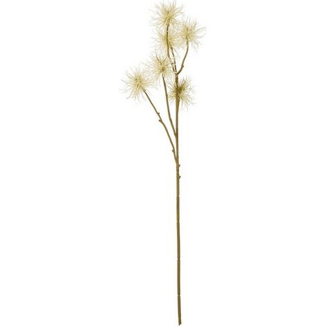 Xanthium Spray (Single Stem Flower) - Plastic - Height 81 cm - Cream