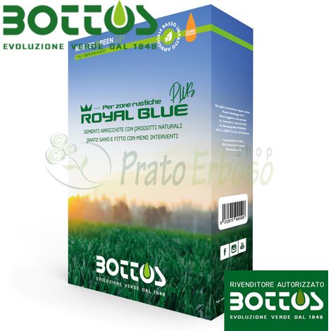 Royal Blue Plus - Sementi per prato da 1 Kg