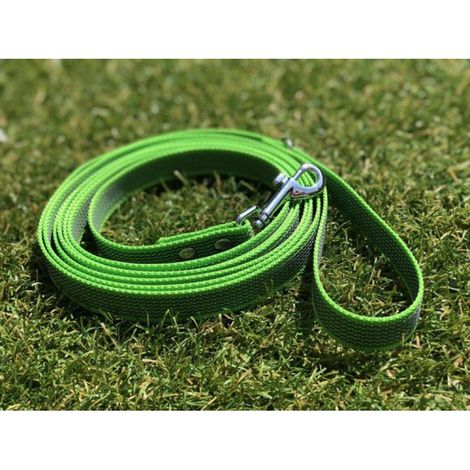 Laisse pour chien de 5 mètres - Antidérapante - Vert citron - Sûre - Adhérence - Confortable