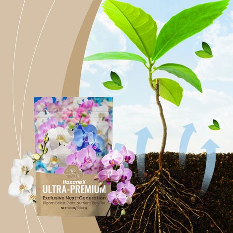 Pflanzennährstoffpulver für Blumen, Kräuter und Pflanzen ergänzt die Bodennährstoffe geeignet für Topfpflanzen im Haus – 100 g -- BIEMMEDUE (1/5)