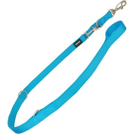 Laisse pour Chien Red Dingo Turquoise (1,5 x 200 cm)