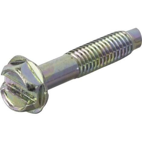 Vite BRIGGS ET STRATTON 699208 (1/2)
