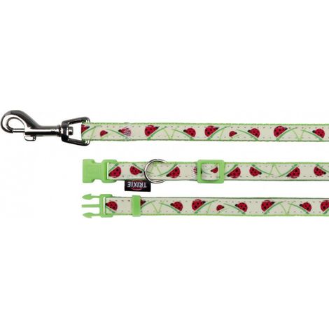 Collier réglable de 22 à 33 cm, couleur phosphorescent avec laisse chat - Trixie